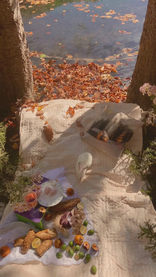 🎃 The Autumn Reels Pack – Halloween Edition